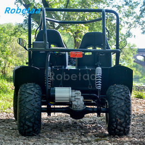 Usado Dune Buggy Go Kart para la <span class=keywords><strong>venta</strong></span> eléctrico 5000W 72v <span class=keywords><strong>Motor</strong></span> para Kart 2 Seater Buggy - Product Image 5