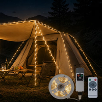 Guirlande lumineuse de camping portable et rétractable, rechargeable, avec télécommande et contrôleur séparé, multicolore, pour patio et Noël