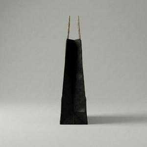 Custom Printed Kraft Paper Packaging <b>Bag</b> with Twisted Handles - Product Image 3