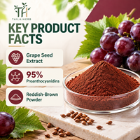 Vente en gros usine : Poudre d'extrait de pépins de raisin à 95% 98% de Procyanidine OPC (CAS 4852-22-6)