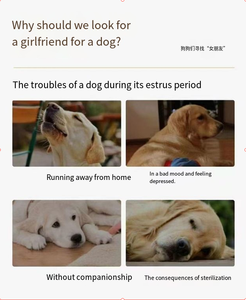 En kaliteli gerçekçi köpek oyuncak yumuşak kürk silikon malzeme yerleşik titreşimli ses arkadaşı köpekler için - Product Image 2