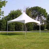 Carpa de Jardín 10X20, Carpa Resistente para Fiestas, Eventos, de Aluminio, Impermeable, de PVC, Tipo Pagoda