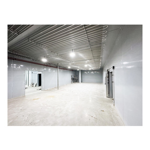 Chambre froide industrielle pour légumes et fruits, entrepôt frigorifique complet, chambre froide pour viande, congélateur walk-in - Product Image 6