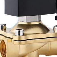 Vanne Solénoïde à Diaphragme Proportionnelle Hydraulique Électrique 1/2 Pouce AC DC 12V 24V 110V 220V avec Bobine en Cuivre et Corps en Laiton pour l'Eau