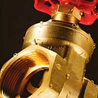 Vanne à vanne en laiton Z15W-16T HPB59-1 personnalisée à commande manuelle, alésage complet, vente directe en usine pour le milieu de l'eau