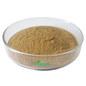 สารสกัดจากพืชธรรมชาติผงสกัดจากใบ <span class=keywords><strong>Fenugreek</strong></span> แห้งสารสกัดจากใบ <span class=keywords><strong>Fenugreek</strong></span> 4:1 10:1 - Product Image 2