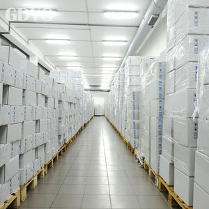 Frijoles congelados IQF con aceite vegetal de excelente calidad |   Precio Competitivo |    Alto Valor Nutricional para Suministro a Granel y Exportación - Product Image 6