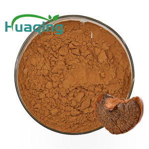 Extrait de champignon chaga tibétain 100% naturel, <span class=keywords><strong>polysac</strong></span>, 20:1 - Product Image 1