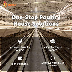 Gallineros e incubadoras de espacio de vida óptimo, equipo de línea de alimentación para animales de granja avícola de engorde - Product Image 2