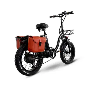 胖轮胎中置驱动多功能500W 48V 10AH踏板辅助折叠自行车电动混合动力自行车