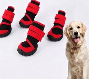 Chaussures pour chien respirantes et confortables pour toutes les saisons - Product Image 2