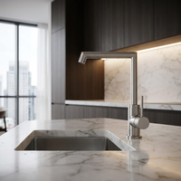 Robinet de cuisine moderne en acier inoxydable brossé avec poignée spéciale et cartouche céramique, pour eau froide et chaude