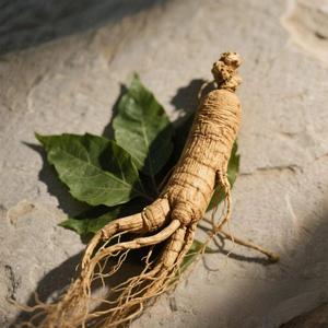 Organik doğal sağlık Ginseng dökün Homme Ginkgo Biloba Ginseng oyster Peptid Tablet kore orijinal kırmızı Ginseng - Product Image 1