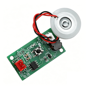 Module d'atomisation à interface alimentée par piles AA 4,5 V CC, DIY - Product Image 6