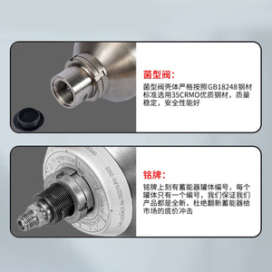 Acumulador de Acero Inoxidable Tipo Vejiga Elephant Plain 304 316, Tanque de Nitrógeno para Almacenamiento de Energía Industrial - Product Image 4