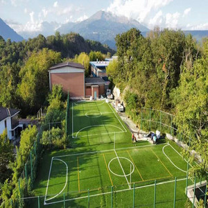 Meisen giá thấp cỏ nhân tạo 25mm30mm cho nhà vườn cảnh quan công viên sàn sàn màu xanh lá cây Ngoài Trời Chống UV waterfree Turf thảm - Product Image 6