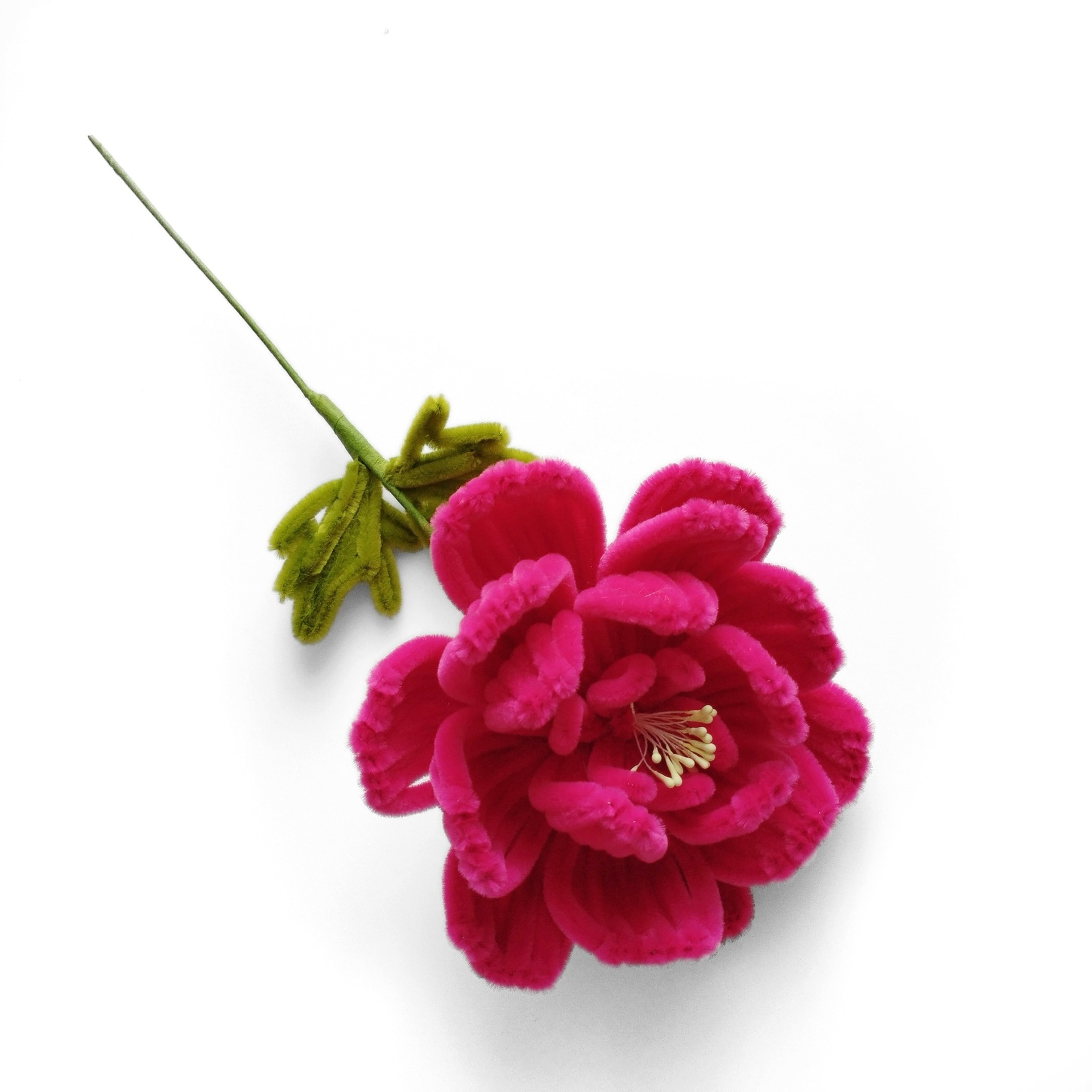 Peonia singola, prodotto finito, rosso rosato 2