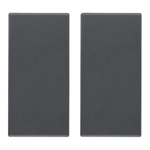 ปุ่มคลื่นความถี่วิทยุ สีเทา 2 ชิ้น สำหรับสวิตช์ควบคุมระยะไกล - Product Image 1