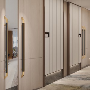 Poignée de porte minimaliste en faux marbre, quincaillerie d'entrée en acier inoxydable pour portes doubles en bois massif de chambre VIP d'hôtel haut de gamme - Product Image 2
