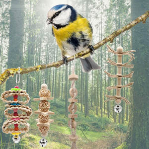 8 paquets de jouets à mâcher pour oiseaux perroquets, jouets à déchirer en bois pour oiseaux, jouets naturels en sachet OPP, jouets pour animaux, produits d'entraînement pour animaux de compagnie, 10 pièces - Product Image 6