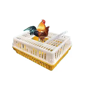 Factory Price Plastic Portable Chicken Transport Cage Poultry Equipments For Chick Duck