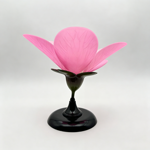 Modelo de Demostración de Disección de Flor de Durazno - Product Image 2