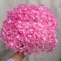 Dekorasi Rumah Bunga Bentuk Bulat Alami Awet Bunga Kering Anna Hydrangea Dekorasi Pernikahan Hydrangea Putih Beige Grosir