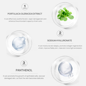 LANBENA - Suero Reductor de Poros, Esencia para el Tratamiento de los Poros de la Nariz - Product Image 4