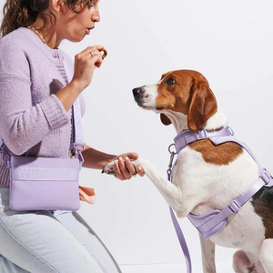 3 façons de porter un sac de friandises pour chien avec un distributeur de sacs à déchets pochette de friandises pour le dressage des chiens - Product Image 6