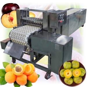 Máquina Deshuesadora de Albaricoques de Acero Inoxidable, Máquina para Quitar Huesos de Ciruela, Máquina para Quitar Semillas de Ciruela para Albaricoques - Product Image 1