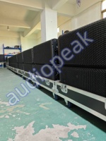 Système de sonorisation actif Audiopea HDL30-A / Système de sonorisation Line Array double 10 pouces haute puissance avec DSP pour concerts et locations