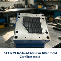 Moule de filtre automobile haute performance, moule de précision pour filtre à air de voiture pour 1433779 16546-6CA0B, fabrication de filtres à grande échelle