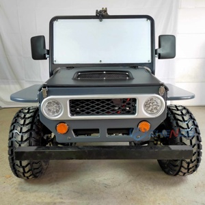 Zhenda Mini Jeep New Buggy, Voitures de Luxe à Essence avec Garantie de 2 Ans pour Adultes, Transport Spécial à Vendre - Product Image 2
