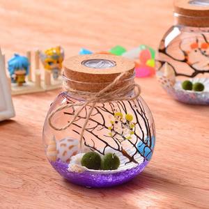 Moderno Micro paesaggio vaso di vetro con luce della fabbrica all'ingrosso <span class=keywords><strong>per</strong></span> <span class=keywords><strong>succulente</strong></span> piante di muschio sughero sigillato barattolo da tavolo - Product Image 2