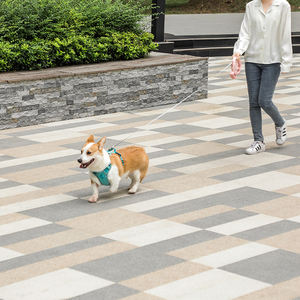 Guinzaglio multifunzione ricaricabile per animali domestici Nastro in Nylon con una mano freno pesante guinzaglio per cani retrattile con distributore di sacchetti per cacca - Product Image 5