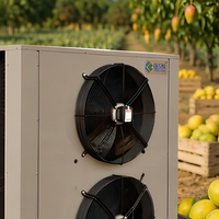 Industriële warmtepomp fruitdroogmachine voor het drogen van mango, banaan en ananas in Afrika