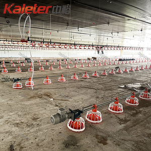 Sistema de Alimentación Automático para Pollos Zhongyu Kaleter, Línea de Comederos para Gallineros, Venta de Equipos para Granjas Avícolas de Cría Libre - Product Image 4