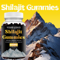Gummies de Shilajit Premium d'Usine : Améliore l'Énergie, la Concentration, l'Endurance, Soutient la Santé Immunitaire – Gummies de Shilajit Pur pour Hommes