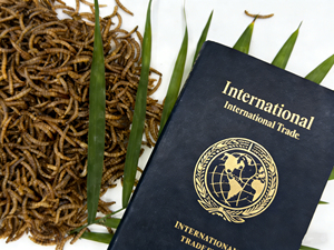 3-4 Veces Más Proteína que las Huevas <span class=keywords><strong>de</strong></span> Huevo, Gusanos <span class=keywords><strong>de</strong></span> Harina Secos Naturales con Alto Contenido <span class=keywords><strong>de</strong></span> Proteínas para un Crecimiento Saludable <span class=keywords><strong>de</strong></span> sus Amados Mascotas - Product Image 4