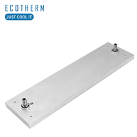 Dissipateur thermique à plaque froide, liquide de refroidissement TEC peltier haute puissance, design personnalisé