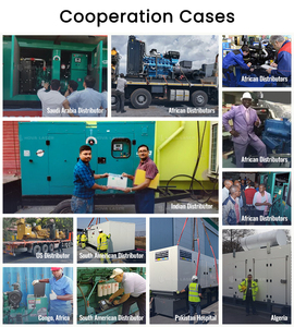 디젤 발전기 공급 업체 공장 사용을위한 전기 발전소 물 냉각 사일런트 50kw 80kw100kw 200kva 300kva - Product Image 5