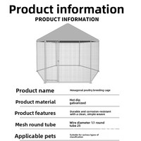 Cage extérieure de gros volume pour poulets, canards, oies, paons, chiens et oiseaux, avec housse de protection contre la pluie, vente en gros fabricant