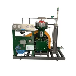 Pressão De Entrada Atmosférica Descarga 13Bar Fluxo 60Nm 3/h H2 Pequeno Compressor De Ar 15KW Compressor De Diafragma De Hidrogênio Para Venda