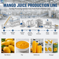 Automatische mango-sapverwerkingslijn met concentratiefunctie, 6000 Bph capaciteit