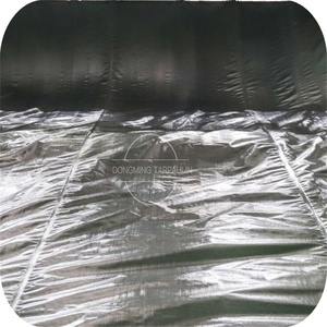 Approvisionnement d'usine PE Bâche 100% Étanche Haute Qualité Camion Couverture Cargo Couverture en Afrique <span class=keywords><strong>Bache</strong></span> Bâche 200 gsm bâche - Product Image 4