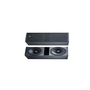 Subwoofer Activo Doble de 12 Pulgadas con Función Dante, Impedancia de 4 Ohmios, Imán de Neodimio, Sistema de Altavoces Profesional - Product Image 4
