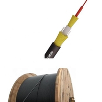 Câble de descente optique FTTH France à double gaine intérieur/extérieur 4,6 mm 6 mm 500 m G657A2 1fo Skylynn Noir ISO9001/CE/RoHS