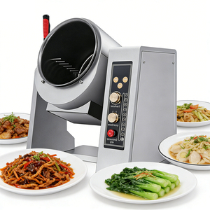 Freidora Automática para Cocina de Rehabilitación, Preparación de Comidas Terapéuticas - Product Image 5