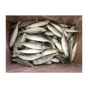 Nueva <span class=keywords><strong>temporada</strong></span> Venta caliente IQF Frozen Round Scad Mackerel Whole Scad Premium Quality Quick Frozen Fish - Product Image 5