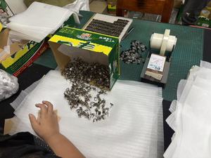 Mùa Đông Mới Thời Trang Kim Loại Kẽm Hợp Kim Biểu Tượng Tùy Chỉnh Chống Nước Nickel-Miễn Phí Giày Ren Lời Khuyên Chuỗi Kết thúc Tùy Chỉnh Màu Sắc Tùy Chỉnh Kích Thước - Product Image 6